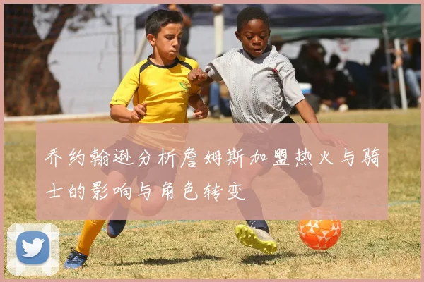 乔约翰逊分析詹姆斯加盟热火与骑士的影响与角色转变